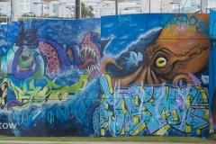 Along the coast of Uruguay-115