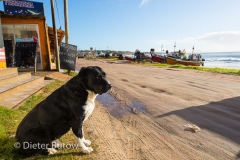 Along the coast of Uruguay-127