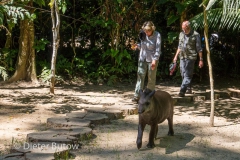 Bolivia Madidi Jungle Tour-10