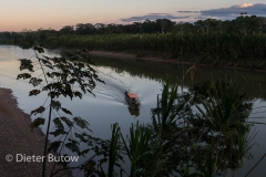 Bolivia Madidi Jungle Tour-22