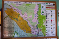Bolivia Madidi Jungle Tour-4