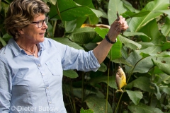 Bolivia Madidi Jungle Tour-56