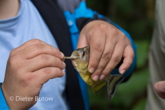 Bolivia Madidi Jungle Tour-57