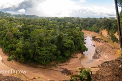Bolivia Madidi Jungle Tour-62