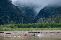 Bolivia Madidi Jungle Tour-68