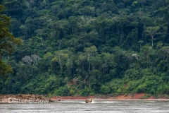 Bolivia Madidi Jungle Tour-69