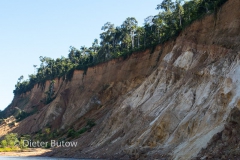 Bolivia Madidi Jungle Tour-8