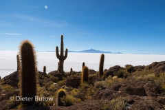 Salar de Uyuni-14