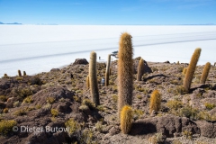 Salar de Uyuni-15