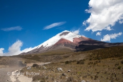 Ecuador 1b Cotopaxi & Quito -100