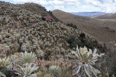 Ecuador Ibarra & El Angel & Gruta de la Paz-132