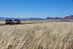 Namib-Kalahari Apr2014-113