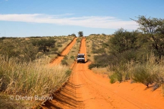Namib-Kalahari Apr2014-118