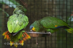 Parque das Aves-23