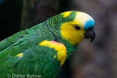 Parque das Aves-24