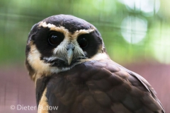 Parque das Aves-28