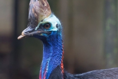 Parque das Aves-29