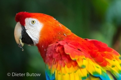 Parque das Aves-30