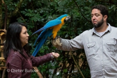 Parque das Aves-32