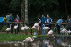 Parque das Aves-33