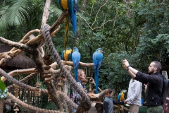 Parque das Aves-8