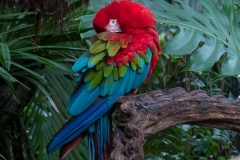 Parque das Aves-9