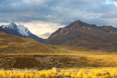 Parque Huascaran A-127