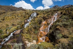 Parque Huascaran B-224