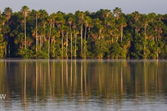 Peru - Lago Sandoval-134