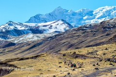 Peru Rainbow Mountains-30